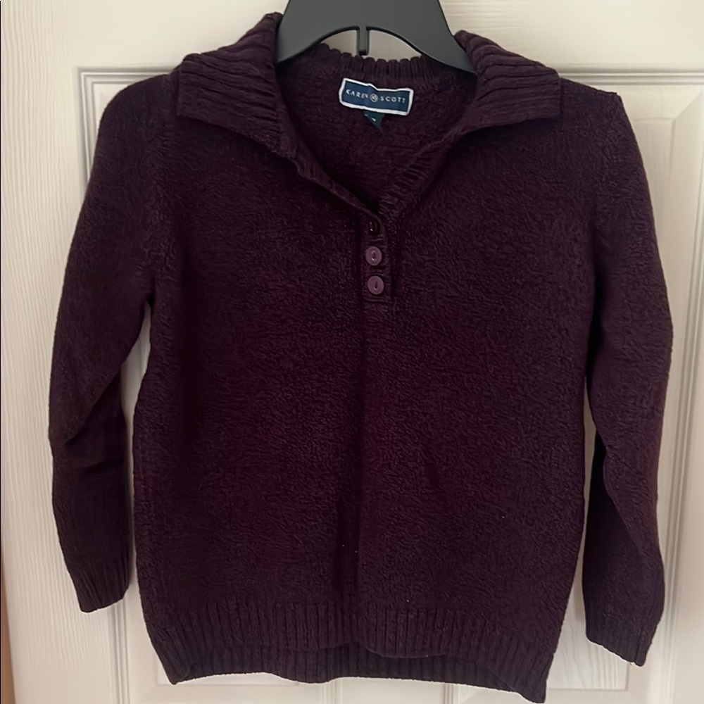 Karen Scott Purple Sweater